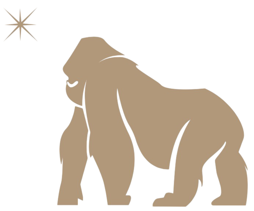 My Logo